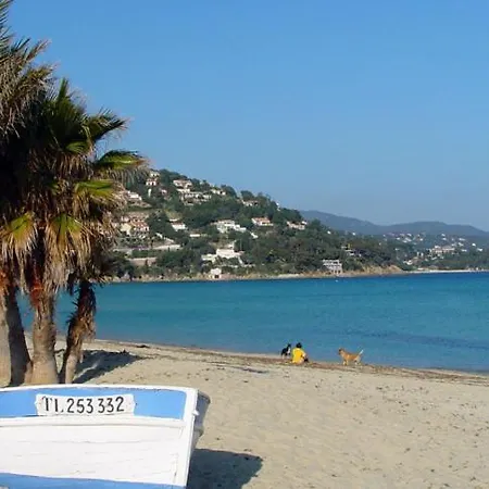 T2 Standing 800m De La De St Clair