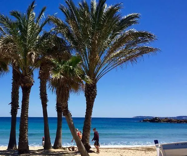 T2 Standing 800m De La De St Clair Ле-Лаванду